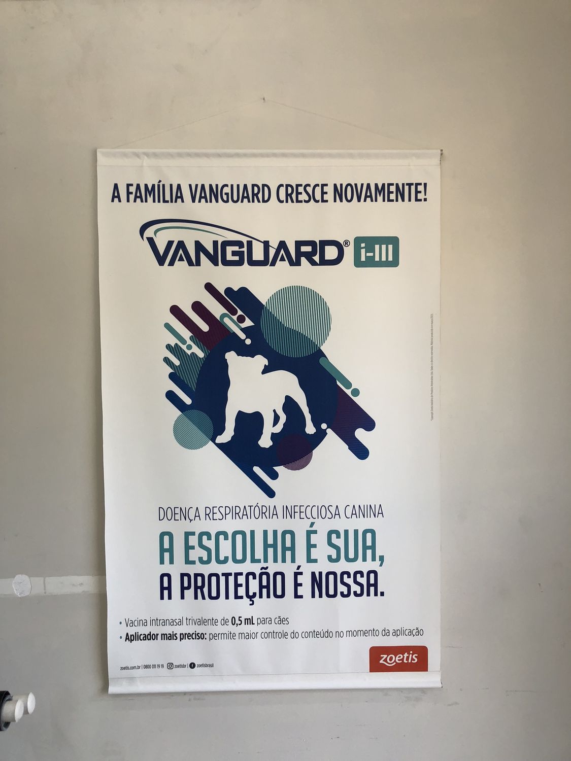 Material gráfico para clínica veterinária